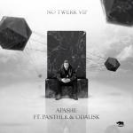 album image No Twerk VIP (feat. Panther & Odalisk) No Twerk VIP - Single