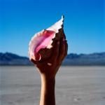 album image Wonderful Wonderful Wonderful Wonderful