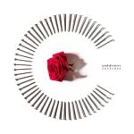album image FEED THE FIRE FATELESS