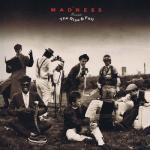album image Tiptoes The Rise & Fall (Deluxe Edition)