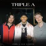 album image Triple A Triple A (feat. NLE Choppa) - Single