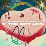 album image If This Isn't Love If This Isn't Love - Single