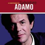 album image J'aime Les indispensables de Salvatore Adamo