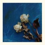 album image Сорри Превосходный синий - EP