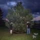 100 gecs, Laura Les, Dylan Brady - hand crushed by a mallet