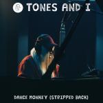 album image Dance Monkey (Stripped Back) Dance Monkey (Stripped Back) - Single