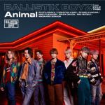 album image Animal Animal