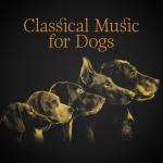album image Вальс №8 Classical Music for Dogs