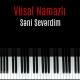 Vüsal Namazlı - Səni Sevərdim