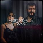 album image Olmadı Olmadı - Single