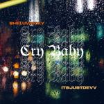 album image iina feat. ANARCHY Cry Baby (feat. ItsJustDevv) - Single
