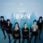 album image Nothing HORN