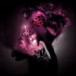 album image Музыка Музыка - Single