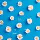 zyrex_ - _love_me_(bluefin_remix)_muzati.net