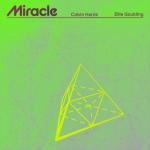 album image Miracle Miracle - Single