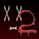 dj trippie flameboy - x_x 2 & cats mashup