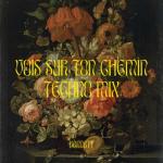 album image Vois sur ton chemin Vois sur ton chemin (Techno Mix)