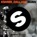 album image Burn (Radio Edit) Burn - Single
