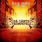 album image Sa Cante Trompetele Sa Cante Trompetele (feat. Feli) - Single