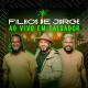 Filhos de Jorge - Ziriguidum (Ao Vivo)