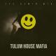 Efe Demir Mix - Tulum House Mafia (Organic House Mix)