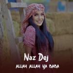 album image Allah Allah Ya Baba 2022 Allah Allah Ya Baba - Single