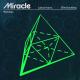 CALVIN HARRIS/ELLIE GOULDING/DENIS FIRST - Miracle (Record Mix)
