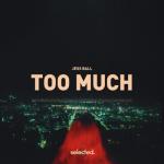 album image Too Much Too Much - Single