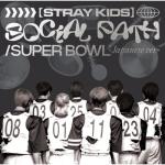 album image Social Path Social Path (feat. LiSA) - Single