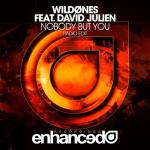 album image Nobody But You Nobody but You (feat. David Julien) - Single