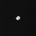album image In My Head In My Head - Single