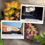 album image Середина грустных лет Середина грустных лет - EP