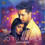 album image Jo Tu Na Mila Jo Tu Na Mila - Single