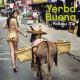 Yerba Buena - La Candela