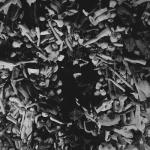 album image Her An Gidebilirim Her An Gidebilirim - Single