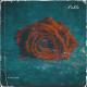 🦂𝖋𝖊𝖗𝖓𝖆𝖓𝖉𝖔🦂 - Alper Eğri - Pablo Pablo (Remix) #Tiktok
