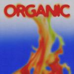 album image BOLO (Feat. YDG) Organic - Single