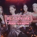 album image Pink Venom (EDM Alpha Remix)