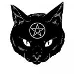 album image Cat