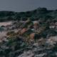 Vancouver Sleep Clinic, Pop Goes Ambient, Amelia Magdalena - Riptide