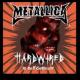 Metallica - Spit out the bone (St. Anger)