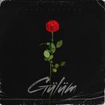album image Gülüm Gülüm - Single