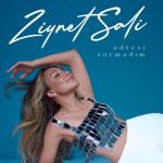 album image Adresi Sormadım Adresi Sormadım - Single