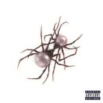 album image Go Off Scarlet