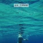 album image Bir Canım Bir Canım - Single