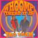 DJ MEHMET TEKİN - DJ MEHMET TEKİN - WHOOMP - 2016