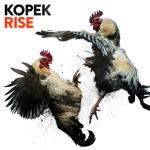 album image Changeling Rise