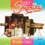 album image Ay Amor Evolución, Vol. 15
