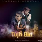 album image Romantic Ringtone_287 Tujh Bin - Single