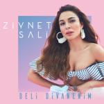 album image Banada Söyle Deli Divanenim - Single